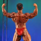 Steve  Namat - IFBB Jacksonville Pro 2010 - #1