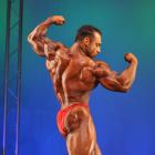 Steve  Namat - IFBB Jacksonville Pro 2010 - #1