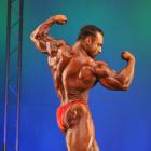 Steve  Namat - IFBB Jacksonville Pro 2010 - #1