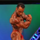 Steve  Namat - IFBB Jacksonville Pro 2010 - #1