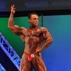 Steve  Namat - IFBB Jacksonville Pro 2010 - #1