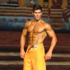 Brian  Casad - NPC Europa Super Show 2013 - #1