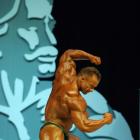 Ronny   Rockel - IFBB Olympia 2009 - #1