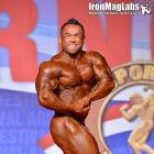 Hidetada  Yamagishi - IFBB Arnold Classic 2015 - #1