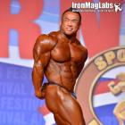 Hidetada  Yamagishi - IFBB Arnold Classic 2015 - #1