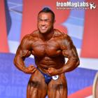 Hidetada  Yamagishi - IFBB Arnold Classic 2015 - #1