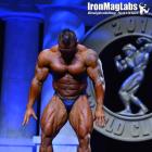 Hidetada  Yamagishi - IFBB Arnold Classic 2015 - #1