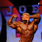 Dennis   Wolf - IFBB Olympia 2011 - #1