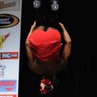 Michelle  Yeager - NPC Team Universe 2009 - #1