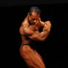 Steve  Namat - IFBB Wings of Strength Tampa  Pro 2009 - #1