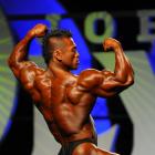 Hidetada  Yamagishi - IFBB Olympia 2011 - #1