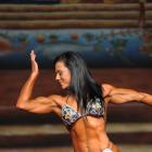 Karin  Hobbs - IFBB Europa Super Show 2013 - #1