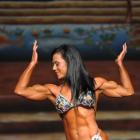 Karin  Hobbs - IFBB Europa Super Show 2013 - #1