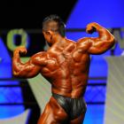 Hidetada  Yamagishi - IFBB Olympia 2011 - #1