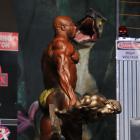 Toney  Freeman - IFBB Europa Super Show 2011 - #1