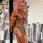 Hennie  Kotze - IFBB Wings of Strength Chicago Pro 2012 - #1