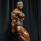 Sergey  Shelestov - IFBB Arnold Classic 2011 - #1