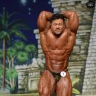 An  Nguyen - IFBB Europa Super Show 2014 - #1