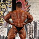 An  Nguyen - IFBB Wings of Strength Chicago Pro 2012 - #1