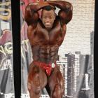 Essa    Ibrahim Hassan Obaid - IFBB Wings of Strength Chicago Pro 2012 - #1