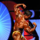 Stan  McQuay - IFBB Olympia 2011 - #1