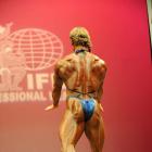 Cathy  LeFrancois - IFBB New York Pro 2009 - #1