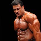 Tarek  Elsetouhi - IFBB Phoenix Pro 2010 - #1