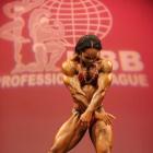 Nancy  Lewis - IFBB New York Pro 2009 - #1