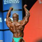 Kevin  English - IFBB Olympia 2015 - #1