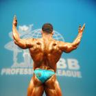 Tarek  Elsetouhi - IFBB New York Pro 2009 - #1