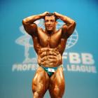 Tarek  Elsetouhi - IFBB New York Pro 2009 - #1