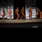 NPC Northern Classic 2013 - #1