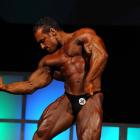 Steve  Namat - IFBB Wings of Strength Tampa  Pro 2009 - #1