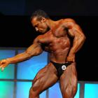 Steve  Namat - IFBB Wings of Strength Tampa  Pro 2009 - #1