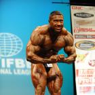 Sergey  Shelestov - IFBB New York Pro 2009 - #1