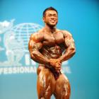 Hidetada  Yamagishi - IFBB New York Pro 2009 - #1