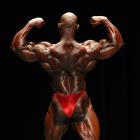 Al  Auguste - IFBB Wings of Strength Tampa  Pro 2011 - #1