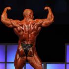 Robert  Piotrkowicz - IFBB Wings of Strength Tampa  Pro 2009 - #1