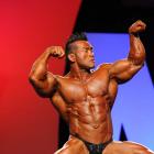 Hidetada  Yamagishi - IFBB Olympia 2010 - #1