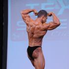 Brook  Ogle - NPC Texas Shredder Classic 2013 - #1