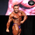 Vicente  Santamaria - IFBB Toronto Pro Supershow 2014 - #1