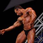 Steve  Namat - IFBB Jacksonville Pro 2009 - #1