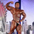 An  Nguyen - IFBB Wings of Strength Chicago Pro 2012 - #1