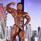 An  Nguyen - IFBB Wings of Strength Chicago Pro 2012 - #1