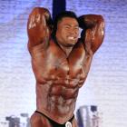 An  Nguyen - IFBB Wings of Strength Chicago Pro 2012 - #1