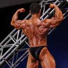 Steve  Namat - IFBB Jacksonville Pro 2009 - #1