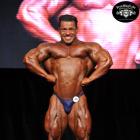 Fernando    Noronha De Almeida - IFBB Toronto Pro Supershow 2014 - #1