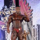 Essa    Ibrahim Hassan Obaid - IFBB Wings of Strength Chicago Pro 2012 - #1