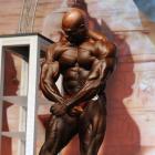 Joel  Stubbs - IFBB Europa Super Show 2009 - #1