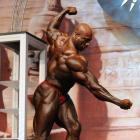 Joel  Stubbs - IFBB Europa Super Show 2009 - #1